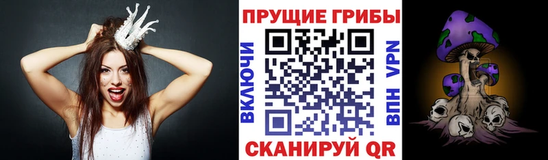 Псилоцибиновые грибы Psilocybine cubensis  сколько стоит  Ставрополь 